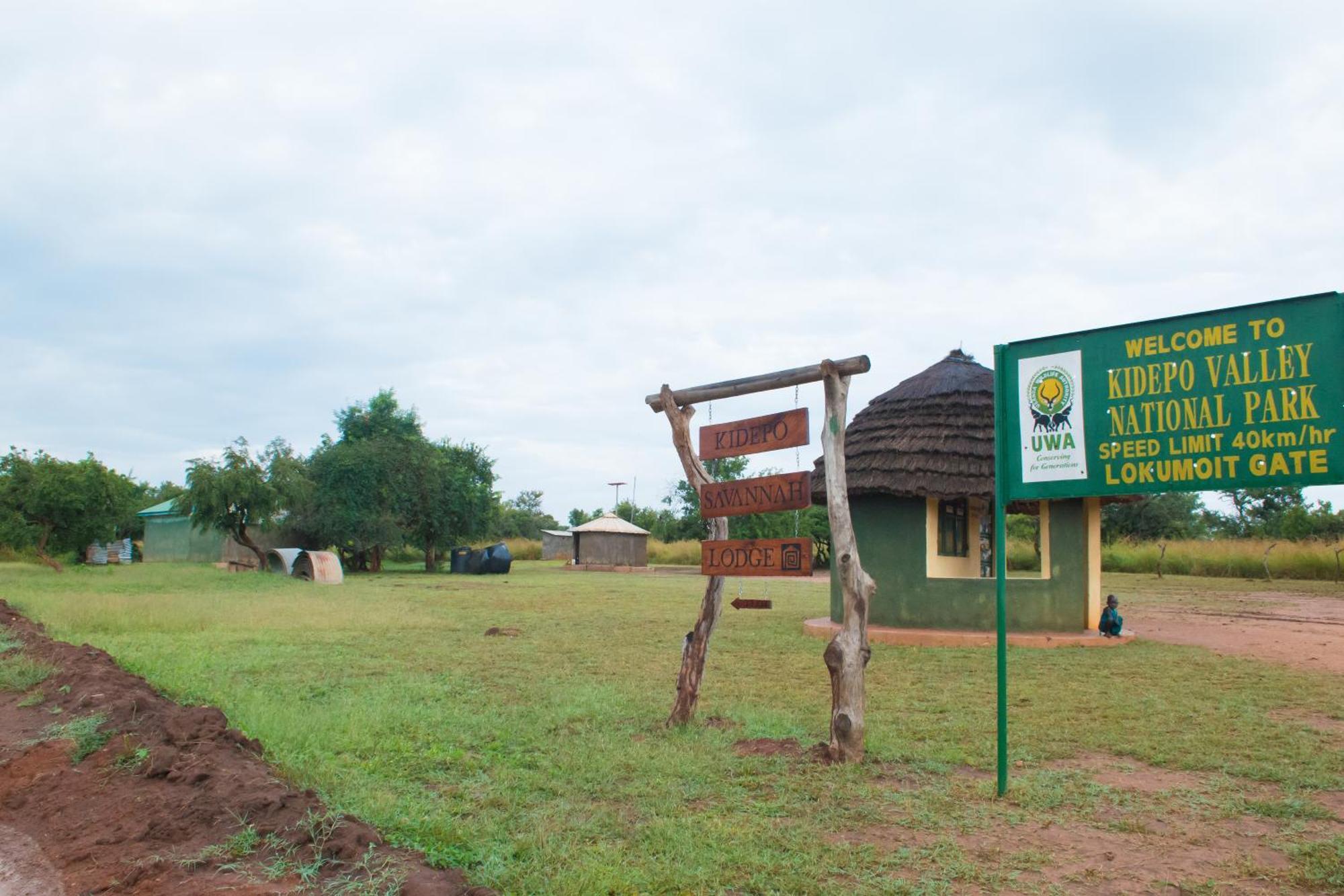 Kidepo Savannah Lodge By Nature Lodges Ltd Loitanit Eksteriør billede