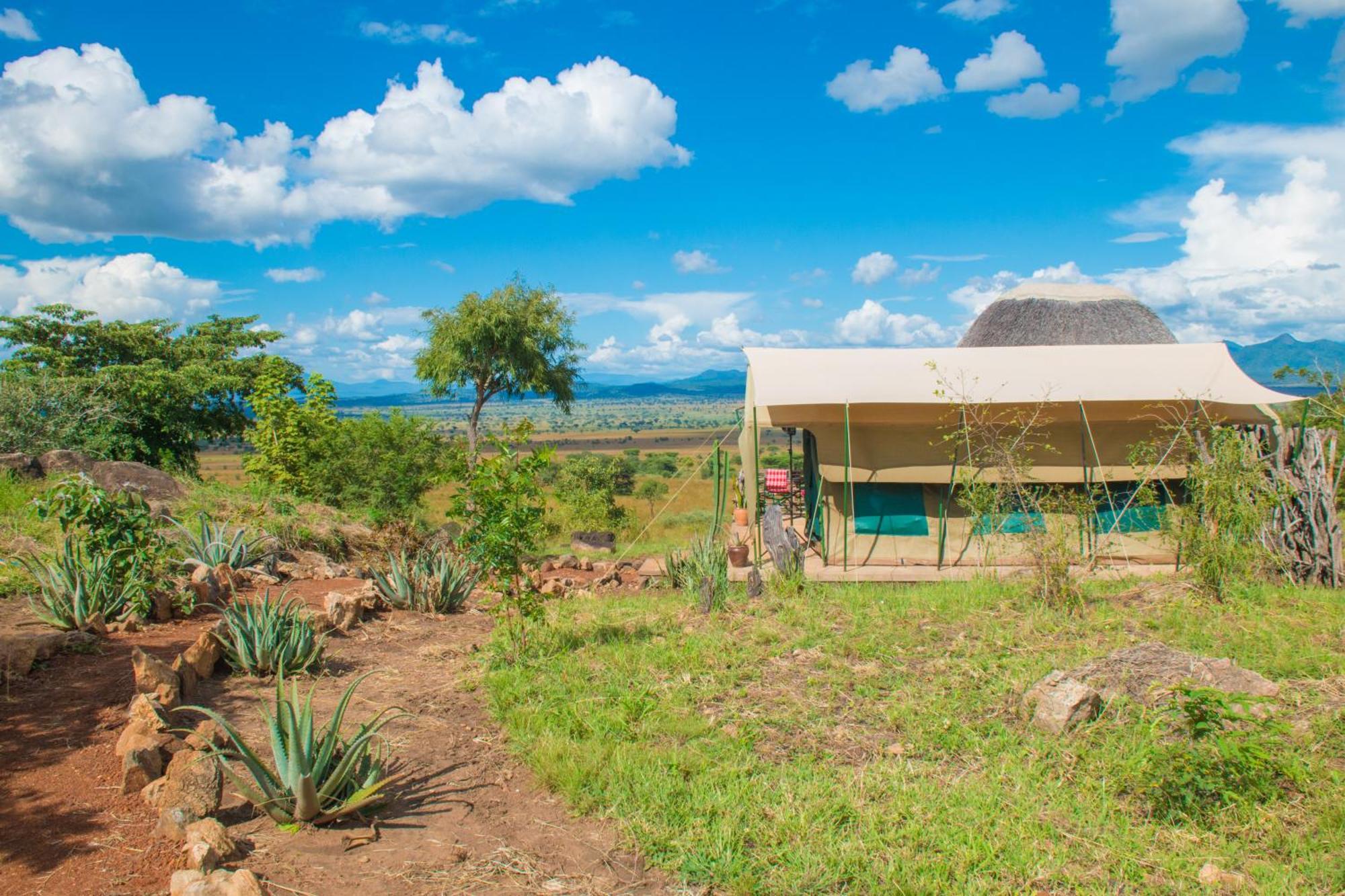 Kidepo Savannah Lodge By Nature Lodges Ltd Loitanit Eksteriør billede