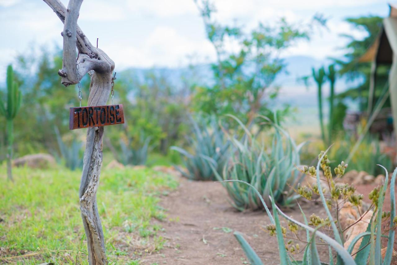 Kidepo Savannah Lodge By Nature Lodges Ltd Loitanit Eksteriør billede